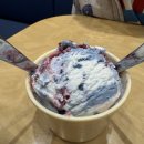 슈팅스타 | 베스킨라빈스 SKT 멤버십 할인 받는 방법, 슈팅스타 컵 후기