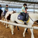 인천삼산초등학교 이미지