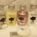 호텔 이그니스 이미지