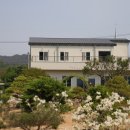 내천농장 이미지