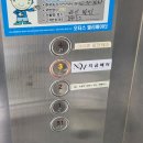 건대 미용실 :: 가을맞이 염색 후기, 건대 지금헤어 지아원장님