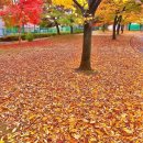 (주)에이큐브 이미지