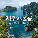 펜션테마여행 | 제주도 vs 울릉도 5월 말 직접 가보고 비교한 숙박비와 만족도 후기