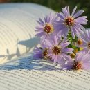 지구를 위한 작은 실천: 비건 홈베이킹 | 비건 라이프를 시작하는 당신을 위한 필독서