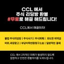 리딩컬쳐