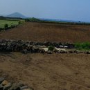 우도공인중개사사무소 이미지