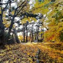 금강공원 이미지