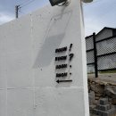[청도] 청도어썸데이풀빌라 : 고양이와 자쿠지가 있는 프라이빗 감성숙소 느낌표방 내돈내산 솔직후기
