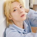 스나이델 카카오 검색결과