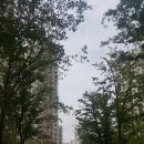 시립삼송어린이집 | 앨리스허님과 함께하는 고양삼송지구 임장 후기(지극히 개인적 느낌 위주에요)