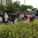 실로암컴퓨터(주) 이미지