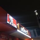 케이에프씨춘천석사 | KFC 갓양념치킨, 에그타워버거 후기! (춘천 KFC)