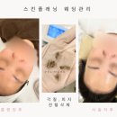 벨리노에스테틱 이미지