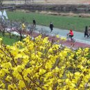 개나리온천 이미지