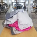 화성파크세탁 이미지