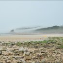 사구해수욕장2 이미지