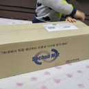 새천안유치원 | [미끄럼방지매트] 디노야! 맨발로 쉬야하러 가자!