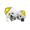 몽린이집
