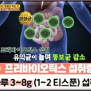 요즘 핫한 '프리바이오틱스' 효능은? 이미지