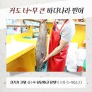 민어나라