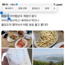 더꼬치다 배꽃점 | 일상 ♡ㅑ~호~!