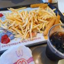 나는펫이다 이미지