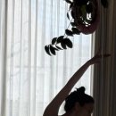 정유미, 진짜 발레리나인 줄…얼마나 관리했으면, 우아한 실루엣 군살 없이 늘씬한 보디라인 이미지