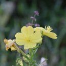 가곡천흙과돌 이미지