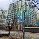 서울e조은치과의원 이미지