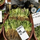 삼오농산