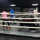 장정구 다이어트 복싱 이미지