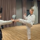 봉황태권도 이미지