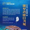 거북 이미지