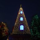 제8회 세계크리스마스문화축제 이미지