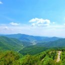 보현산칼국수 이미지