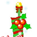 씨라인안경 이미지