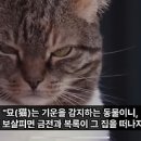 뒤죽박죽 Daum카페