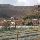 일송재