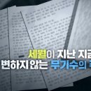 장미비디오 이미지