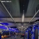 렉스 휘트니스 네이버블로그