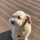 일출민박 이미지