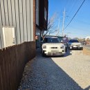 선사애견 | 강릉 대형견동반 펜션 추천 카리스 애견펜션 4인 2박3일 대만족 후기