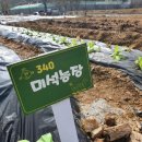 미석농장 이미지