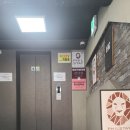메트로필