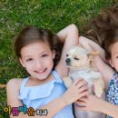 명진치과의원 이미지