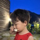 (주) 엘담 네이버블로그
