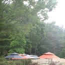 도농목장 이미지