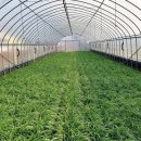 마을회관 앞 이미지