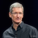 애플apple 이미지