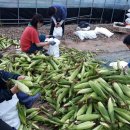 영동공공하수처리장 이미지